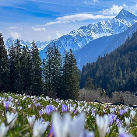 Alpenchalet Zillertal * Hippach