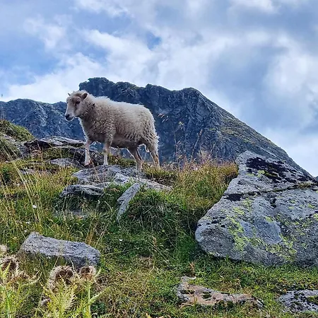Alpenchalet Zillertal