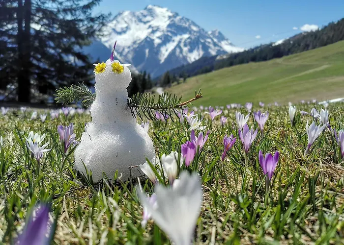 Alpenchalet Zillertal Hippach