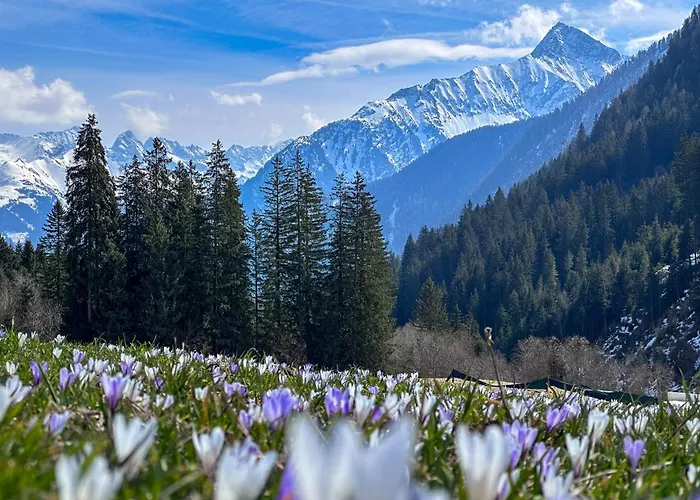 Alpenchalet Zillertal * Hippach