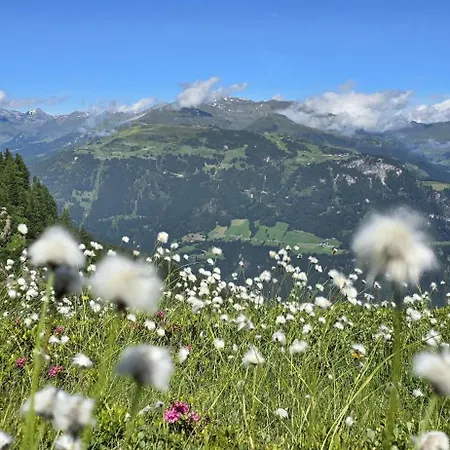 Daire Alpenchalet Zillertal *