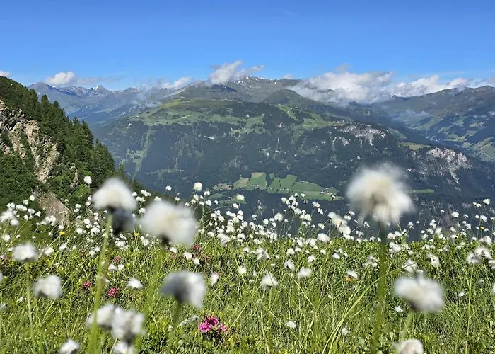 Appartamento Alpenchalet Zillertal *