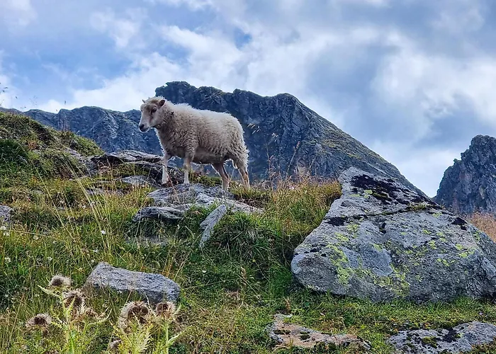 Alpenchalet Zillertal